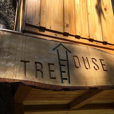 Villa Tree House Alpinka Krvavec Cerklje na Gorenjskem Exterior foto